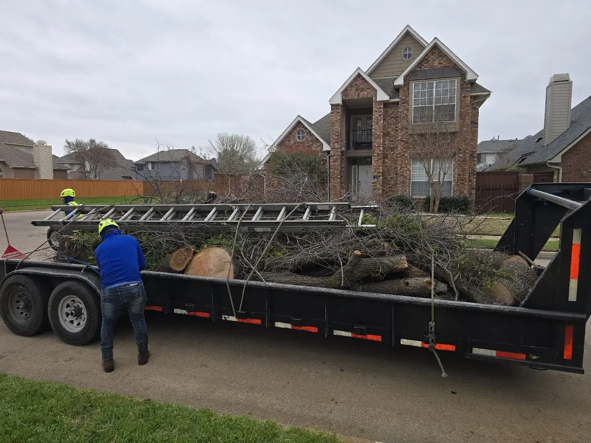 Expert Lot Clearing with proper safety equipment in Bunnlevel